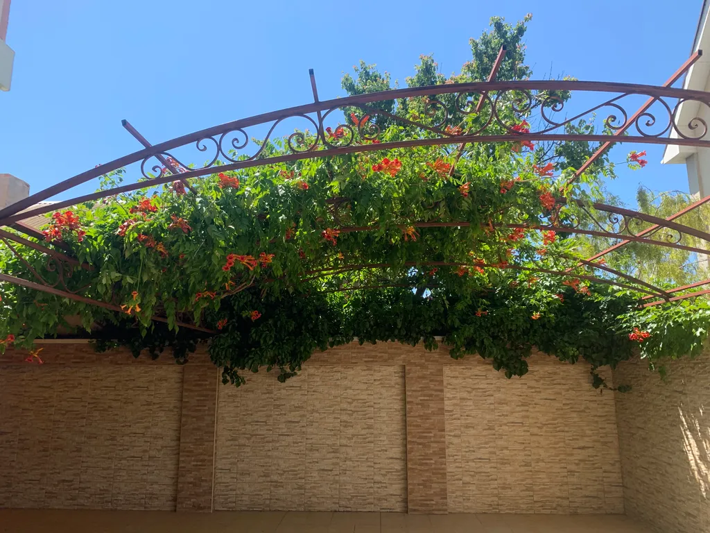 Уютная студия со своим двориком