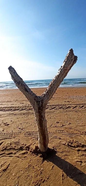 Загородный дом для перезагрузки