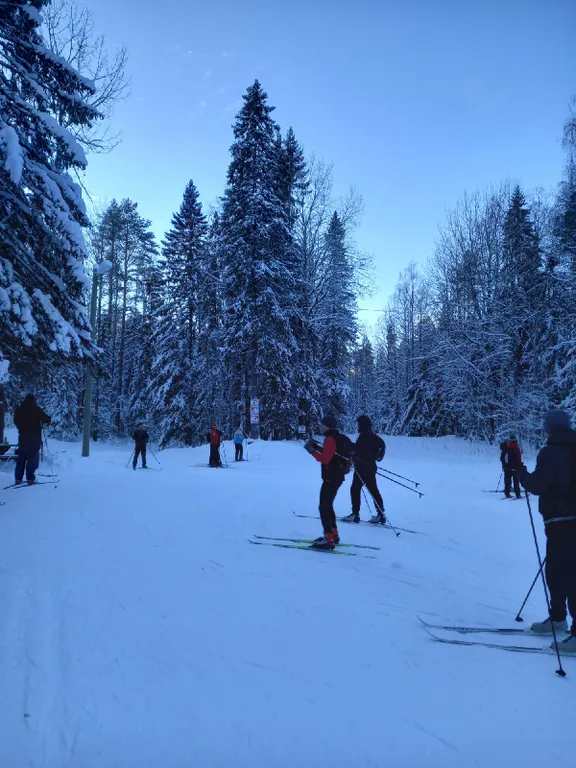 Апартаменты Древляночка
