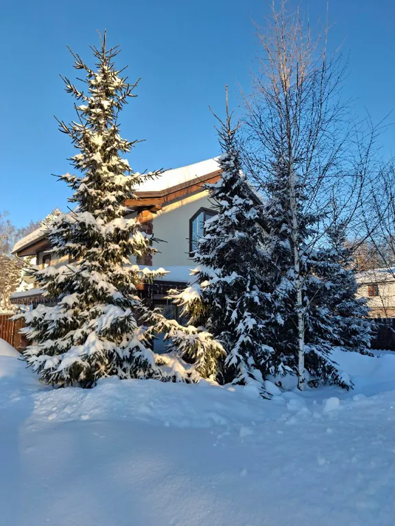 Коттедж Дом шале с сауной, тренажерным залом и барбекю - для семьи и друзей — аренда посуточно в Москва