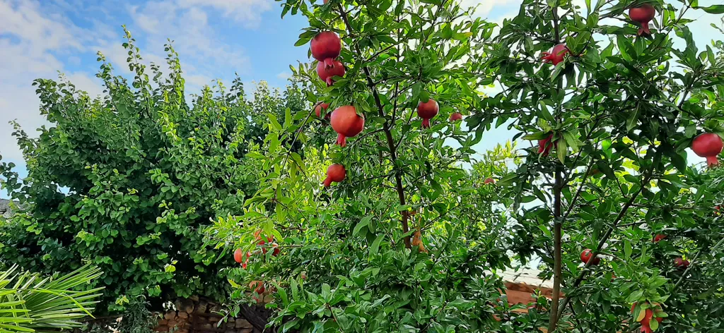 Коттедж Уютный домик с беседкой в центре — Севастополь