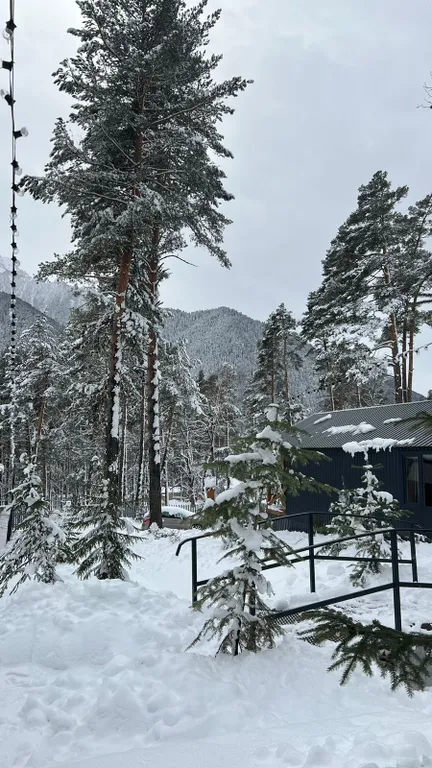 Эко-домик с видом на горы