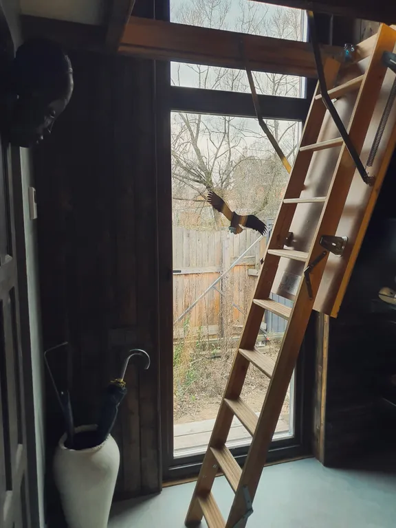 Барнхаус для отдыха у леса и реки