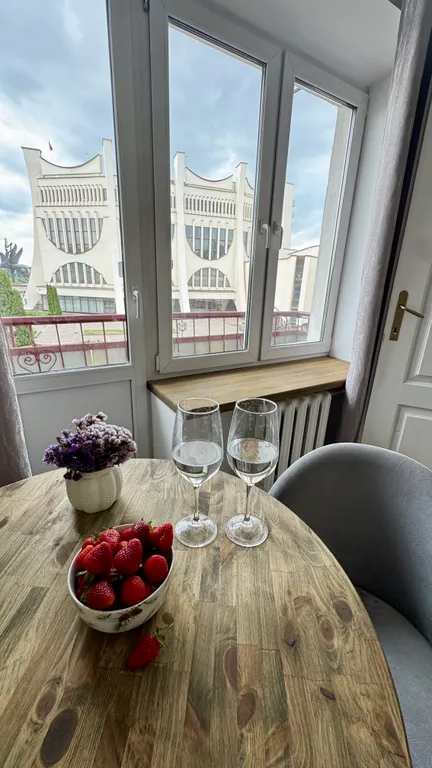 Атмосферная 1-комнатная квартира с видом на исторический центр Гродно