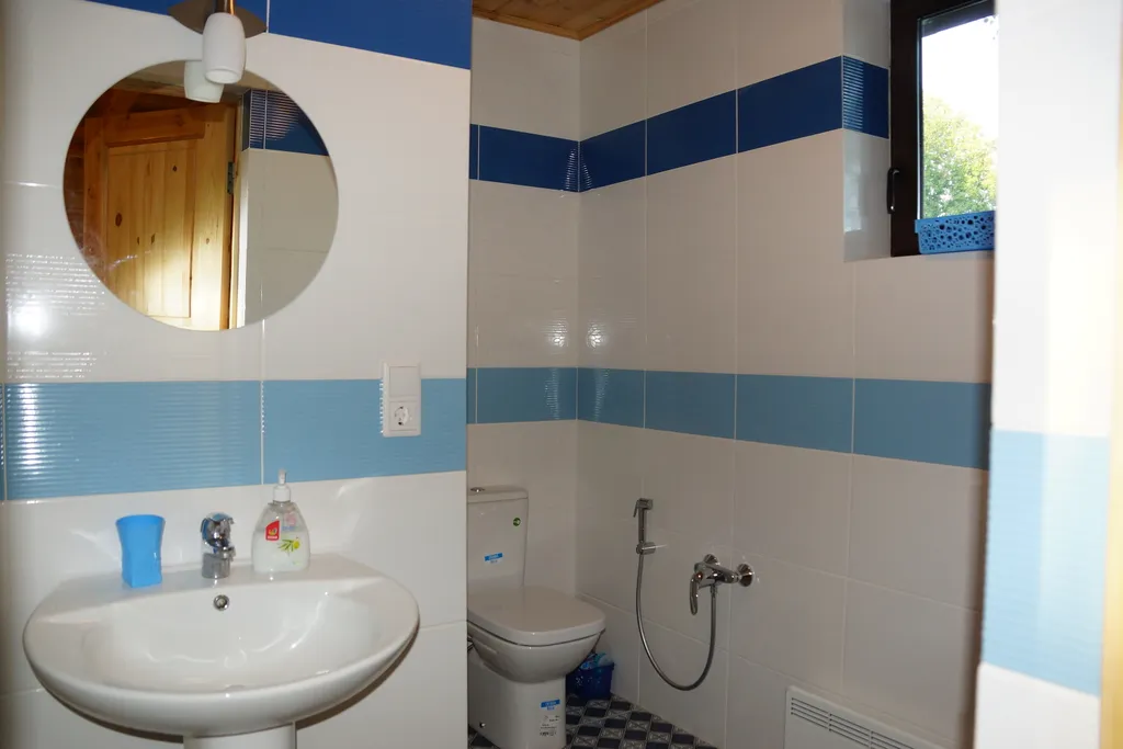 Коттедж Дом с камином, баней-сауной на дровах и купелью — Светлое