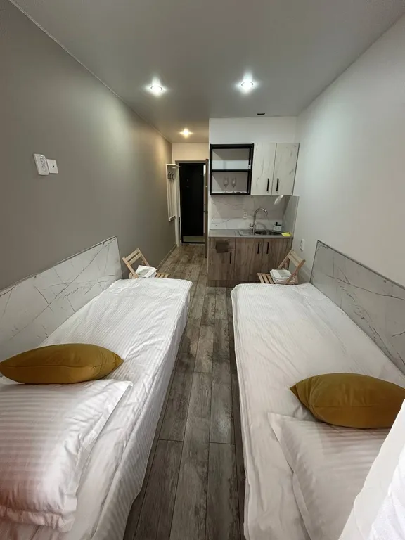 Уютные апартаменты в центре города