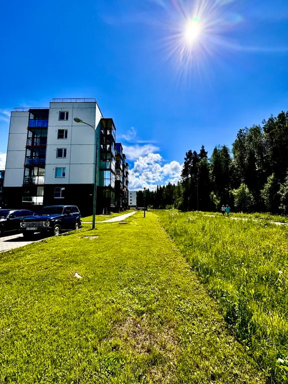 Уютная студия рядом с лесом