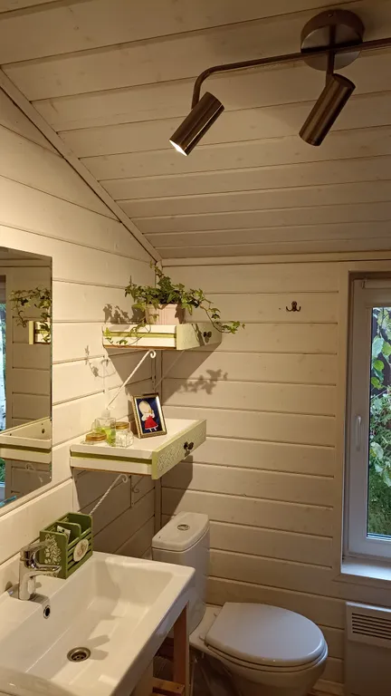 Уютный дом среди берёз и ёлочек