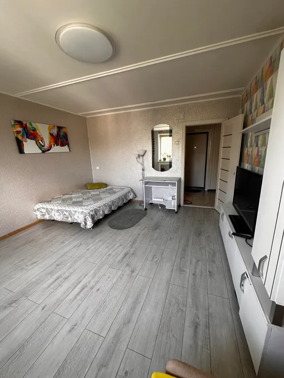 Уютная однокомнатная квартира