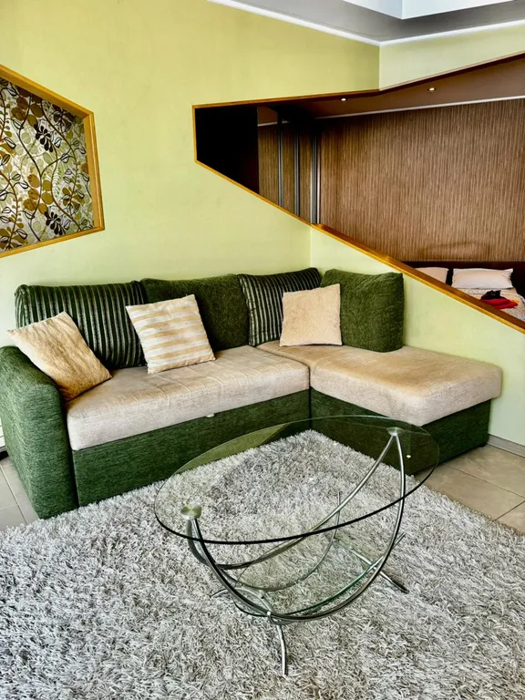 Студия с панорамным видом на реку в центре