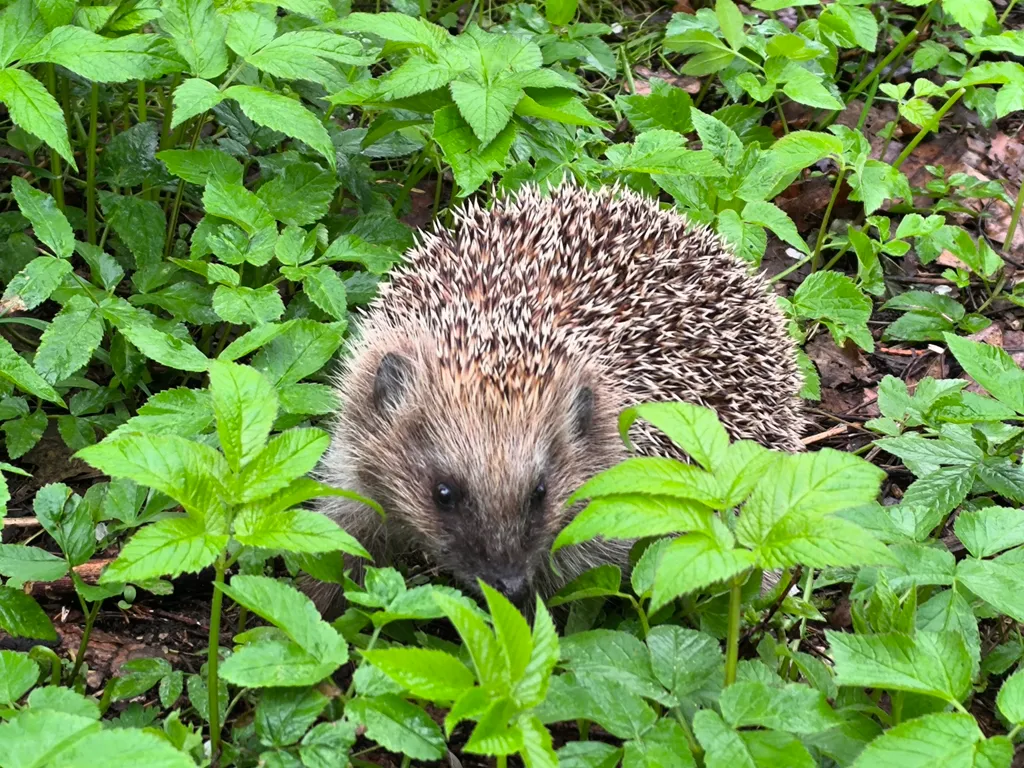 Дом на берегу с видом на Селигер