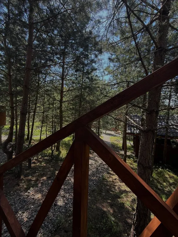 Уютный домик с купелью и баней в сосновом лесу