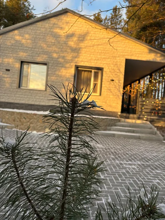 Уютный дом, баня на дровах, банный чан в сосновом бору Петрозаводска