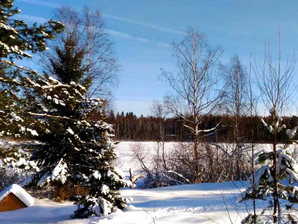 Отдых у озера