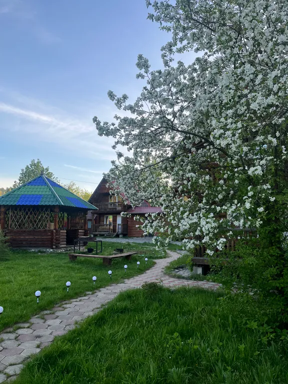 Деревенька Алтая