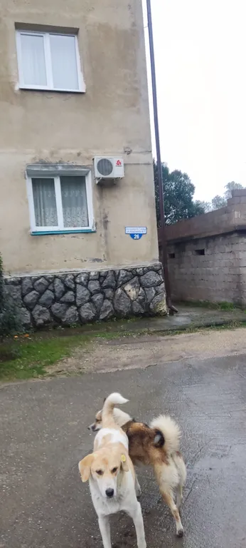 Квартира с видом на море