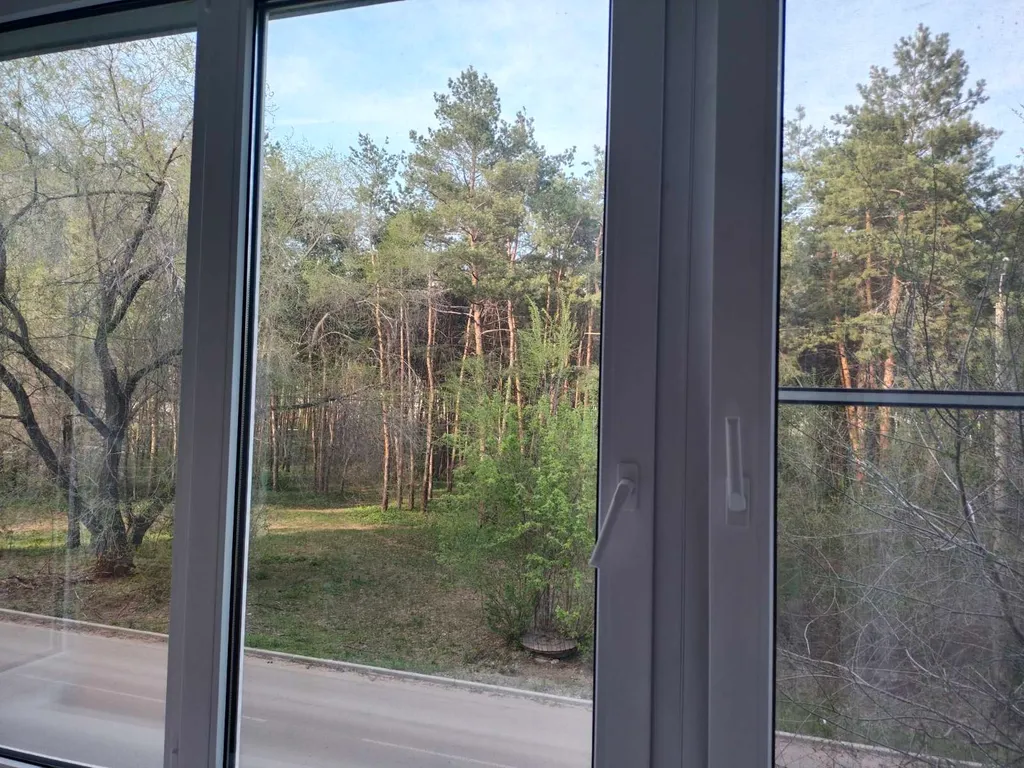 Студия в лесопарковой зоне