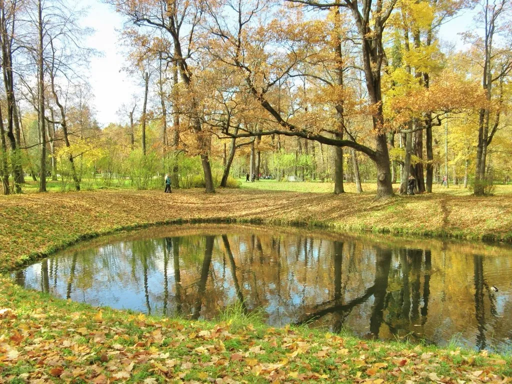 Квартира рядом с парком победы
