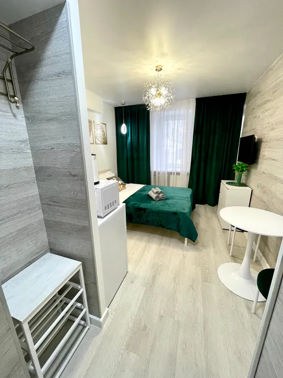 Уютная студия в Дзержинском районе