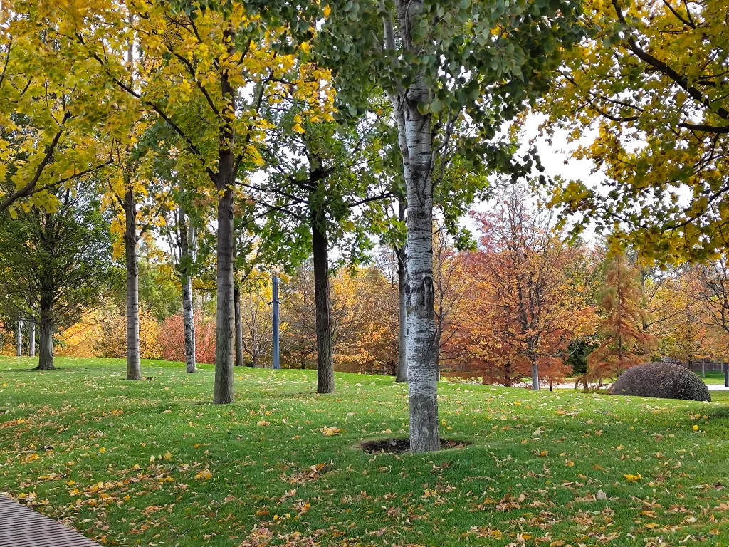 Квартира Уютная квартира рядом с парком Галицкого — Краснодар