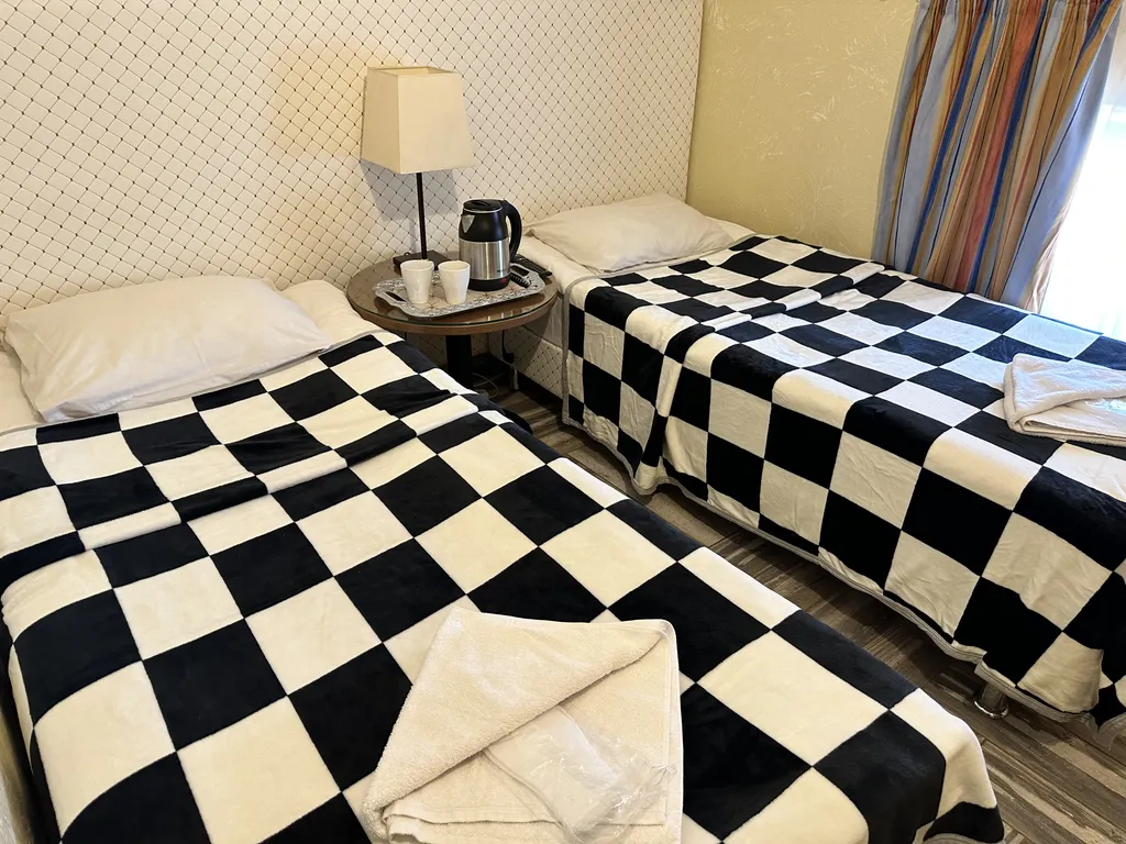 Квартира Двухместный Комфорт TWIN — аренда посуточно в Внуково