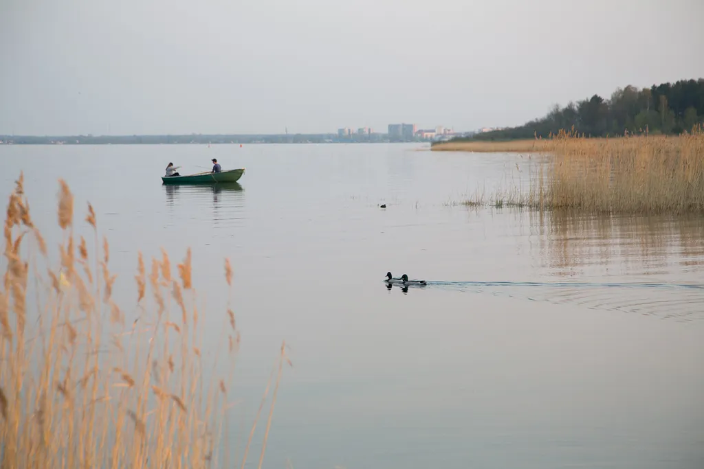Загородный дом в часе езды от Петербурга + баня
