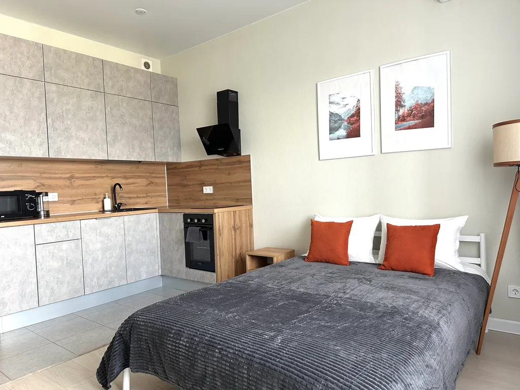 Квартира Студия в ЖК Новое Пушкино — аренда посуточно в Пушкино