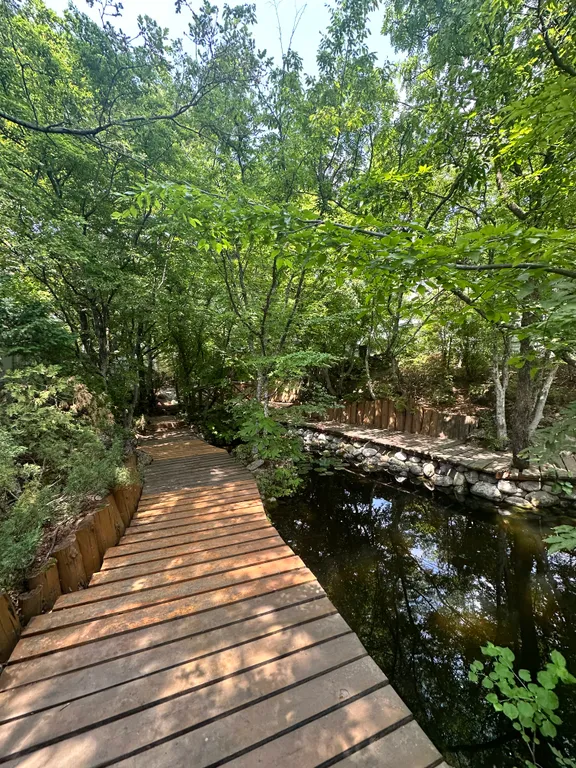 Деревянный дом с приватной территорией