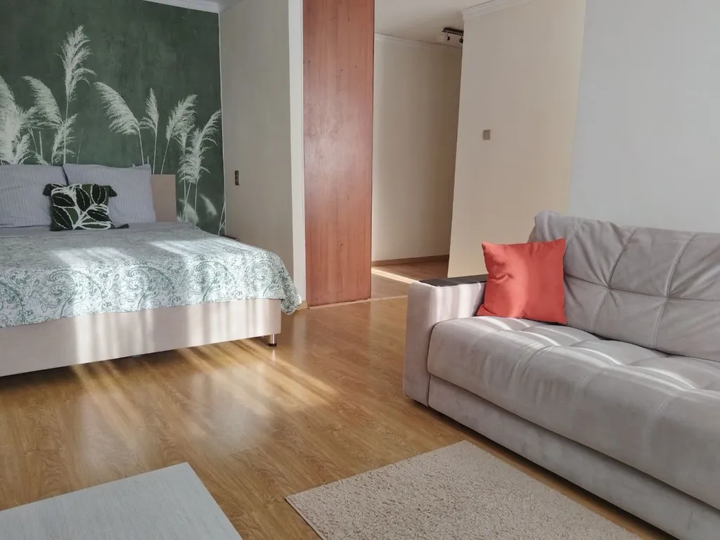 Студия с видом на парк