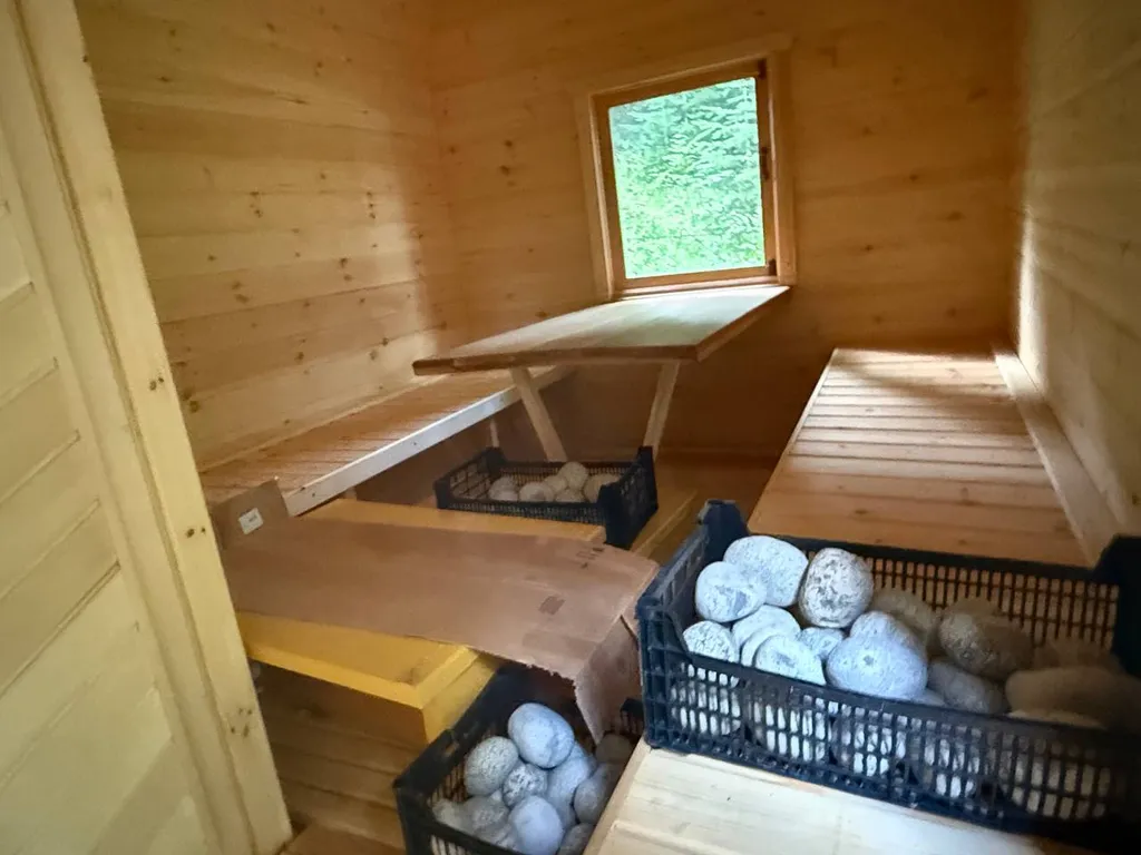 Коттедж Коттедж Шале Зарево 3 — Архыз