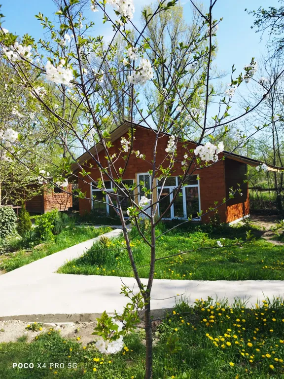 Романтик у реки