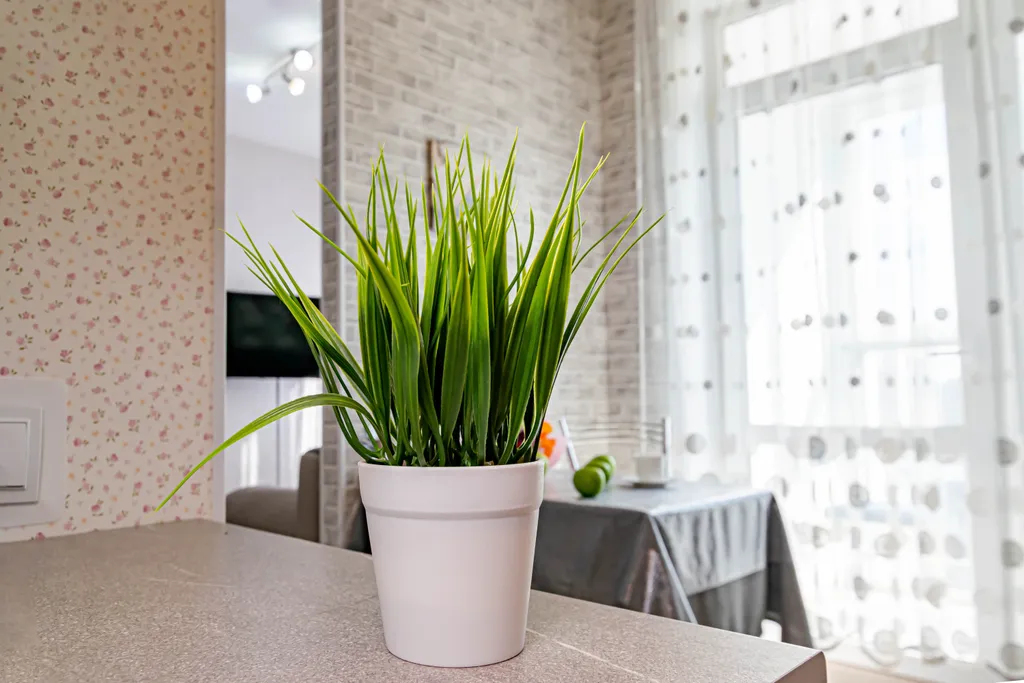 Квартира в новом ЖК Руна парк