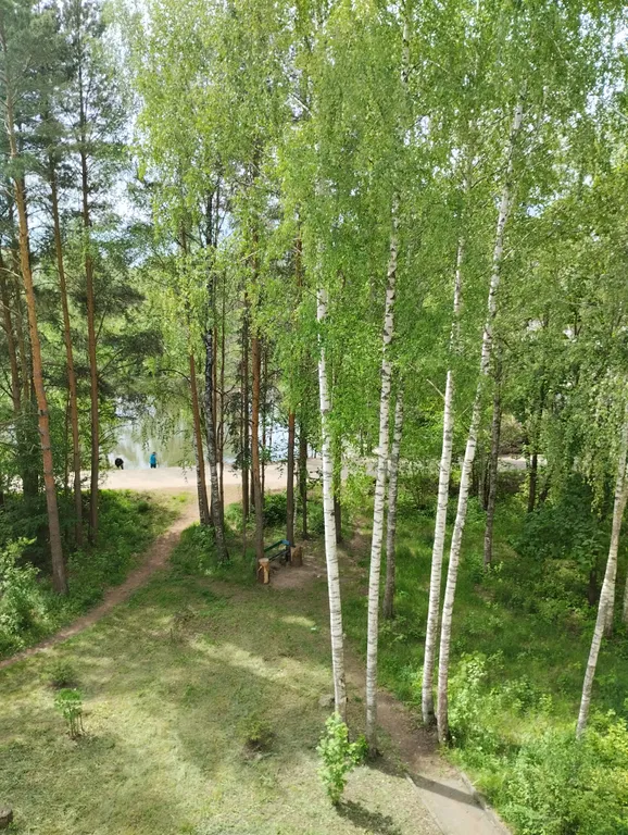 Отличная квартира с красивым видом из окна