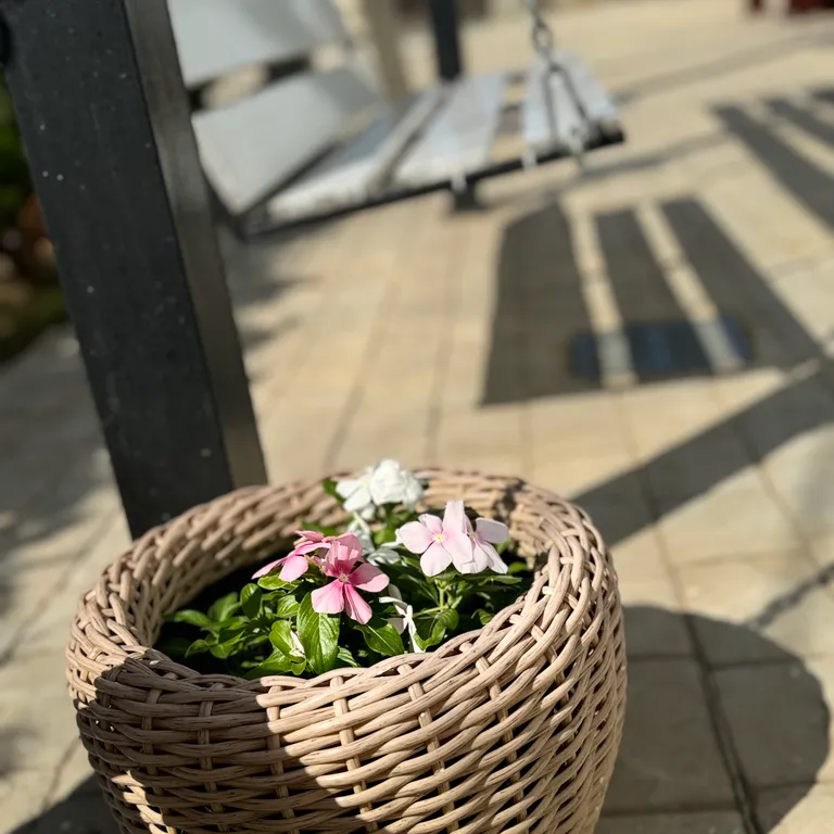 Уютный номер с видом на море