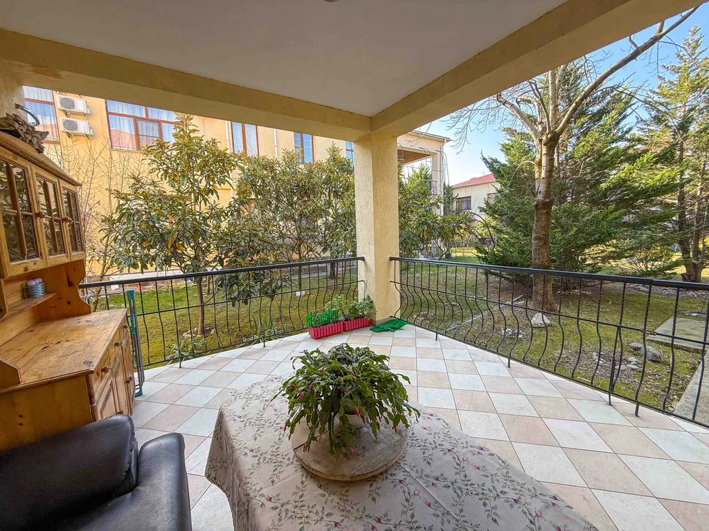 Орхидея парк Альфагид