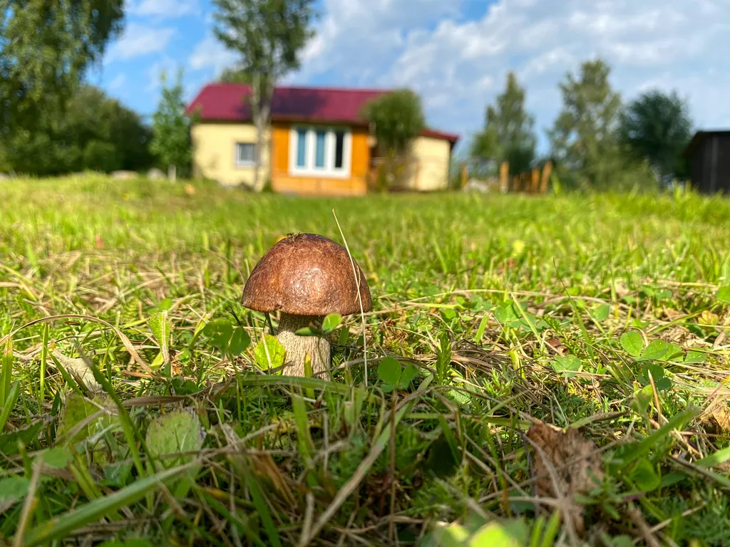 Эко-дом на природе со всеми удобствами