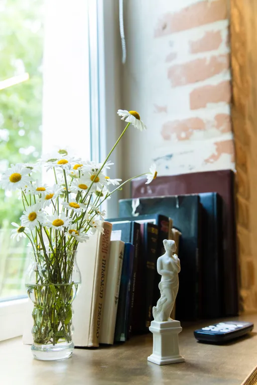 Апартаменты Спасские в самом центре древнего Пскова