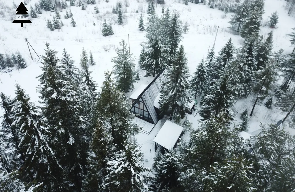 Коттедж Гостевой дом В ЁLКИ — Чална