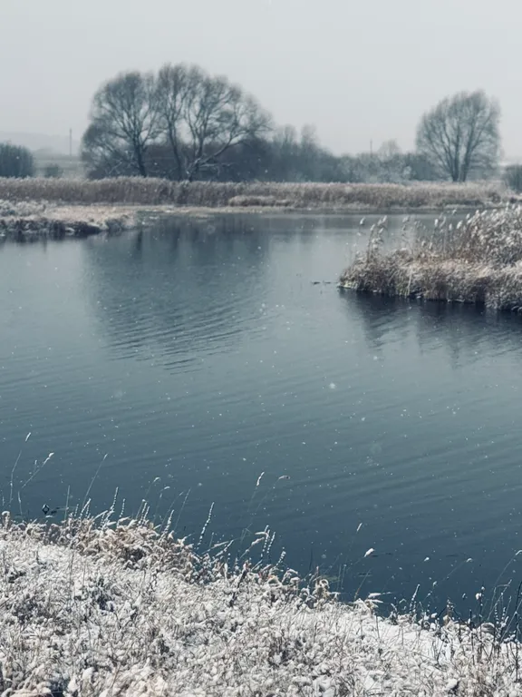 Гостевой дом с камином и террасой