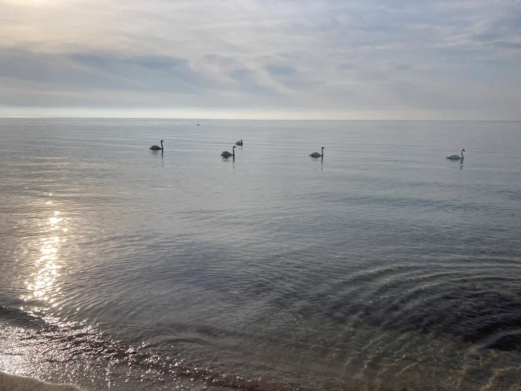 Квартира 2 комнатная квартира с двориком на Пушкина — Евпатория