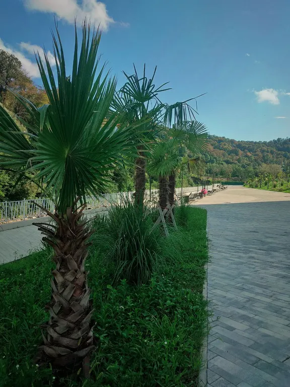 Красивая квартира в 25 мин пешком от моря и в 50 мин от Красной поляны