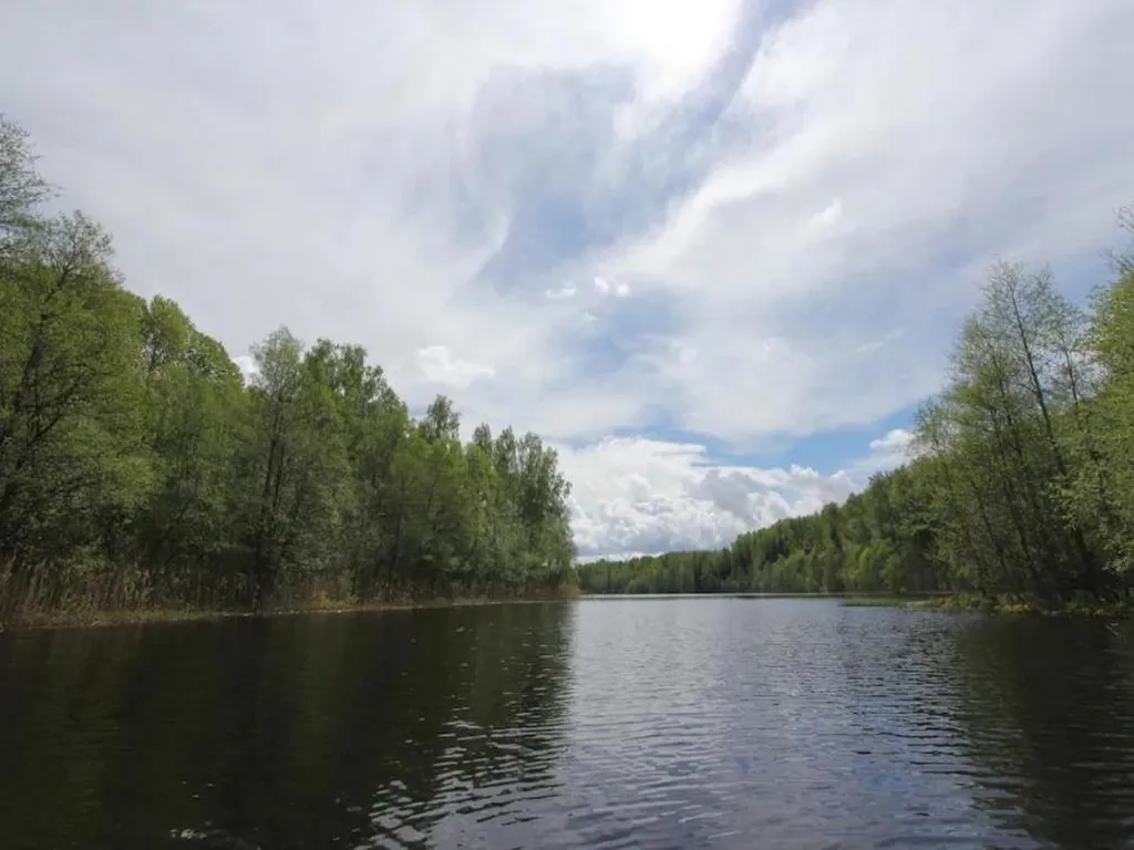 Заимка Остров: уютный домик для отдыха и рыбалки