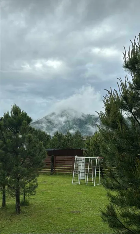 Отдых в живописном месте Алтая