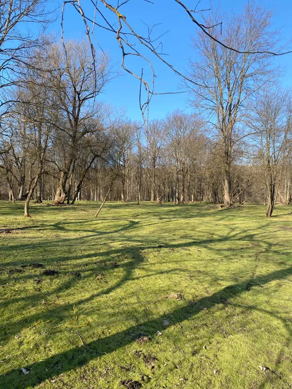 Уютный домик с сауной возле реки Ока