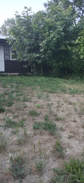 Дача Светлана