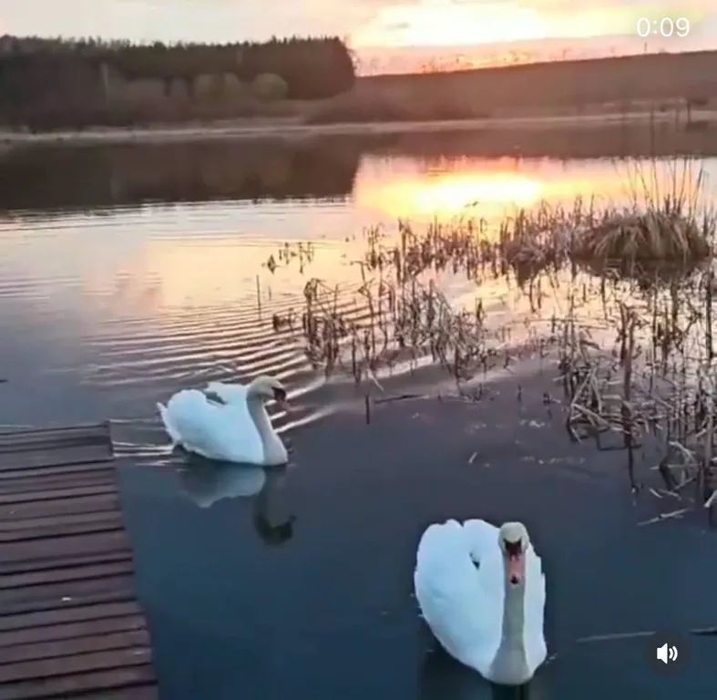 Уютный дом на берегу озера с сауной