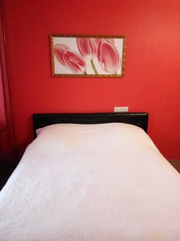 Уютная и красивая квартира в центральном районе города