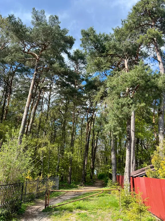 Уютная квартира на берегу моря, рядом Сосновый Бор, казино, Резиденция