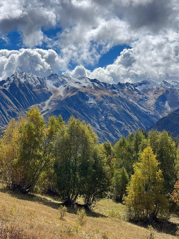 Уютные апартаменты с видом на горы