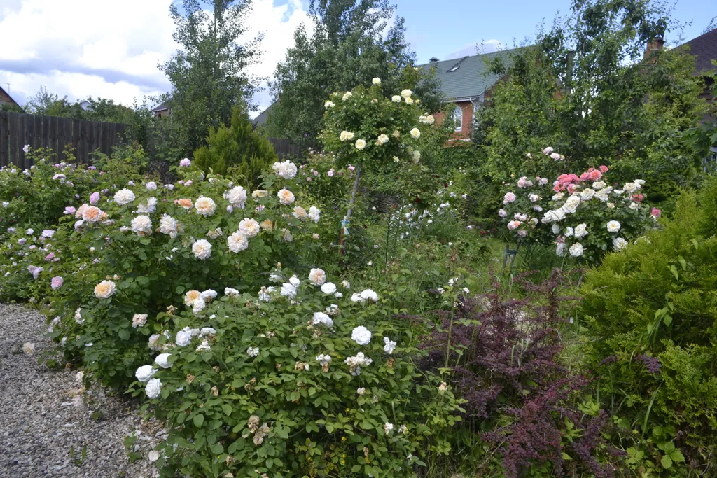 Дом с баней